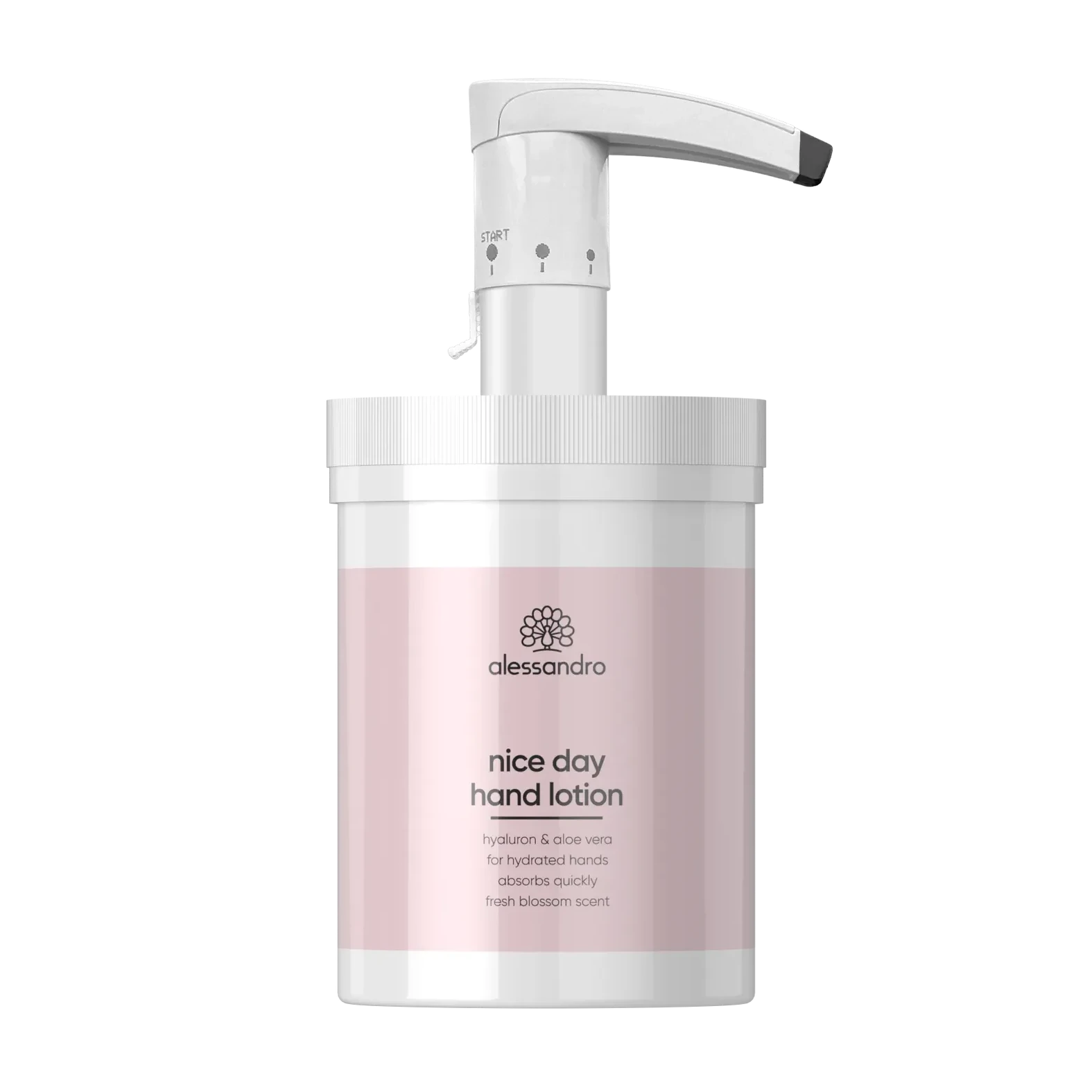 NICE DAY drėgmę palaikantis kasdieninis losjonas su hialurono rūgštimi 300ml