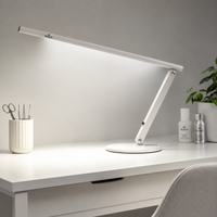 WORKPLACE LAMP PRO LIGHT 20 W profesionalus LED šviestuvas darbui
